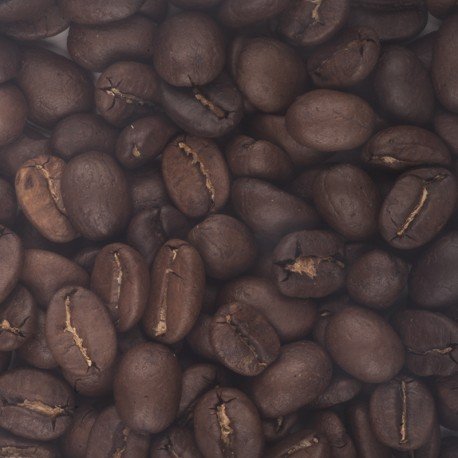 indonesia-kopi-luwak-1